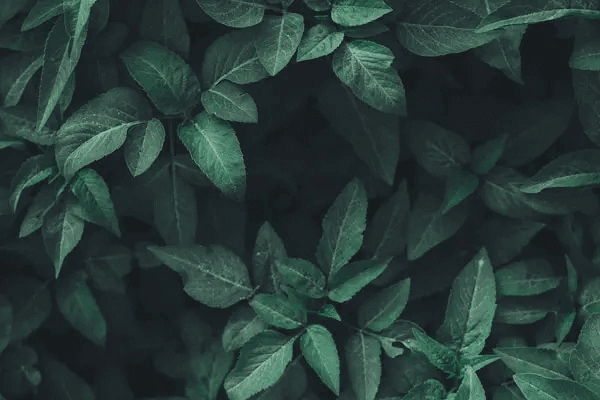 Saturn Return: Navigating Your Cosmic Coming-of-Age